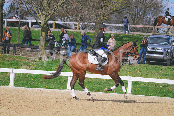 DSC_4684