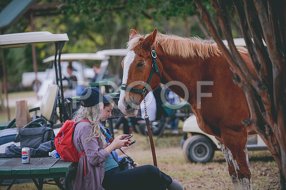 JJS_9184