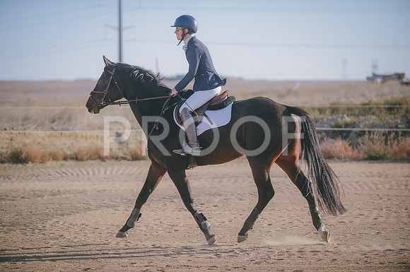 JJS_7655