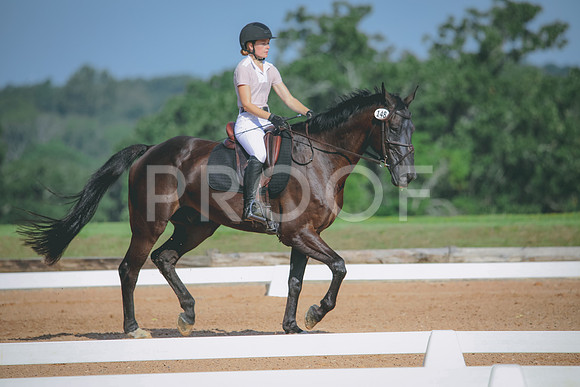 RWP_4652