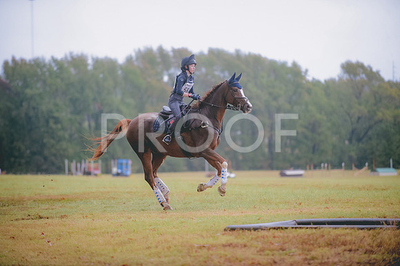 JJS_3566