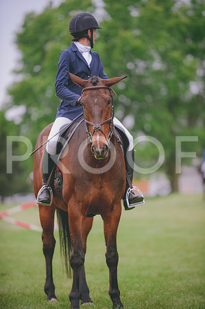 JJS_2354