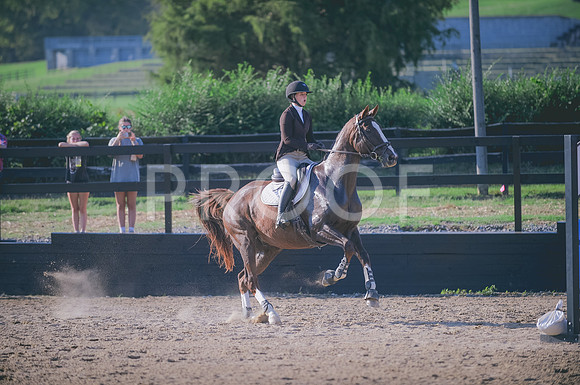 JJS_8545
