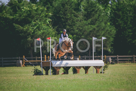 RWP_3877