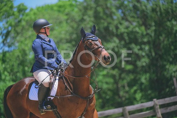 _DSC1375