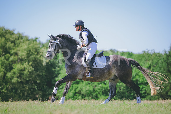 RWP_1210