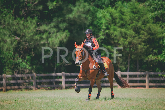 RWP_1154