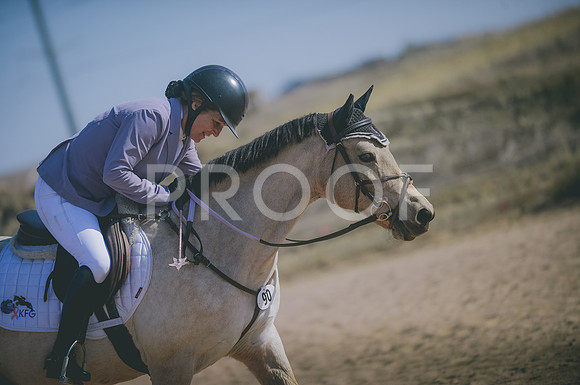 JJS_3590
