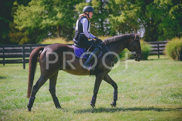 JJS_4593
