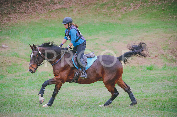 JJS_2137