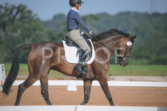 RWP_4374