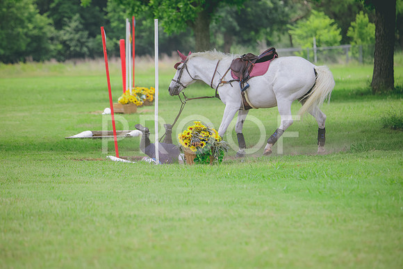 RWP_2808