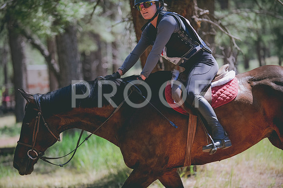JJS_3713A