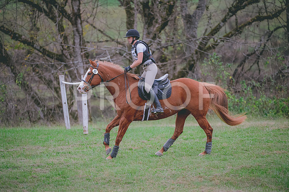 JJS_1708