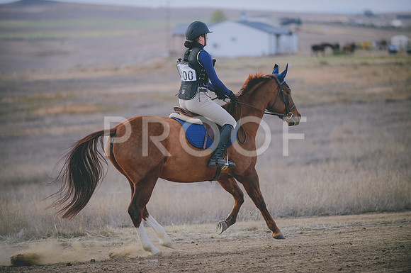 JJS_6311