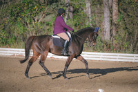 JJS_4548