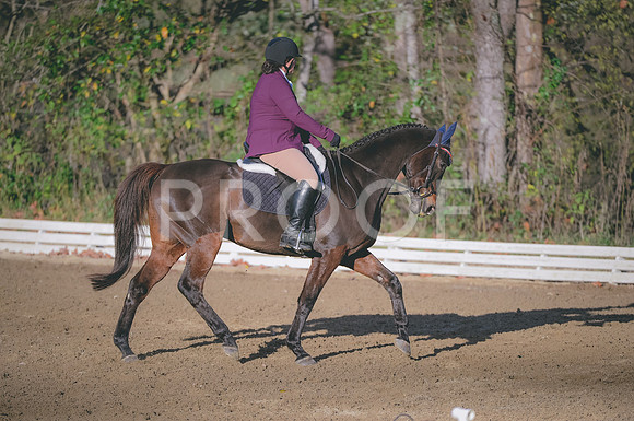 JJS_4548