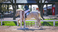 0N0A0844