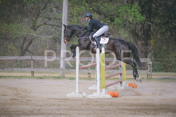 JJS_0585