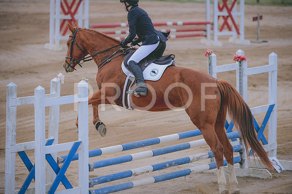 JJS_3173