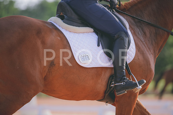 RWP_4286