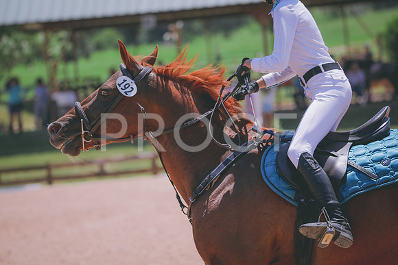 RWP_5588