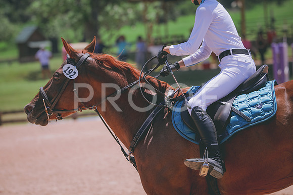 RWP_5589