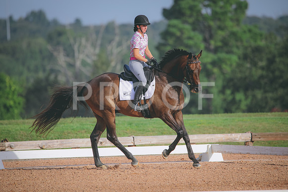 RWP_4354
