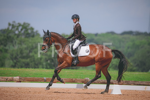 RWP_4516