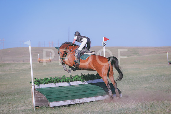 CDH_9523