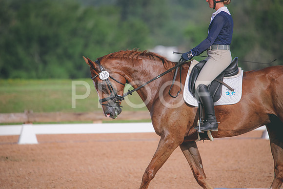 RWP_4416