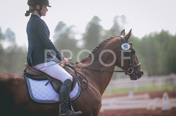 JJS_1201