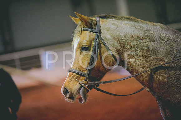 JJS_2883