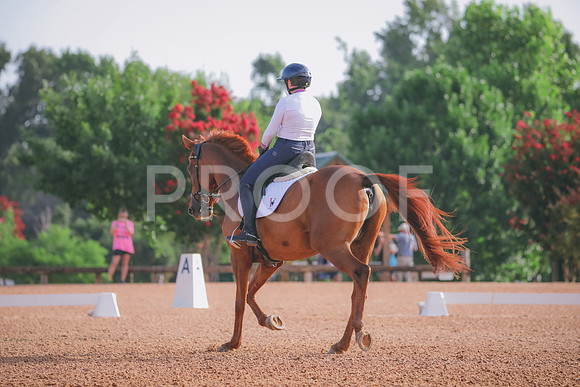 RWP_4295