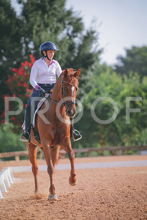 RWP_4280