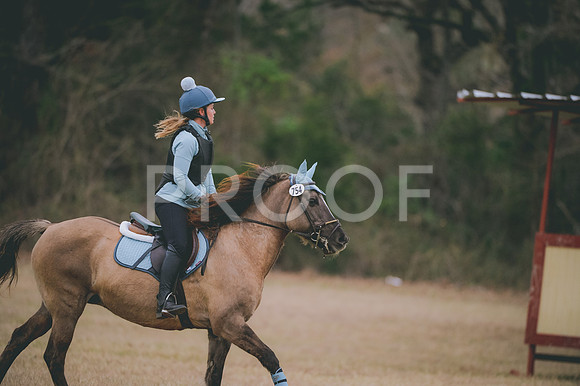 JJS_3641