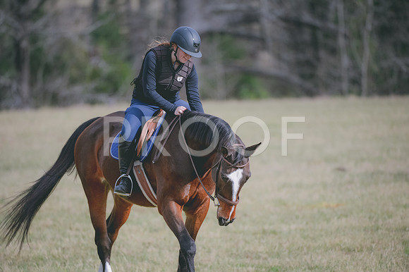 JJS_0782