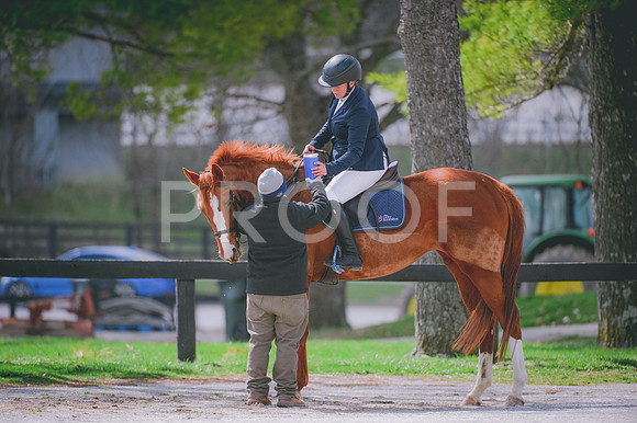 JJS_1404