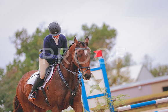 JC5_2964
