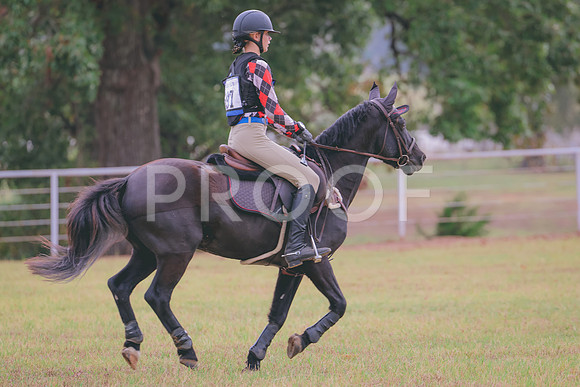 861A9265