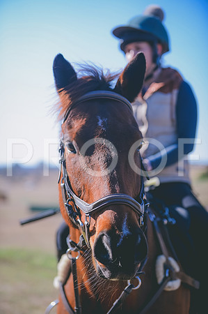 JJS_0496