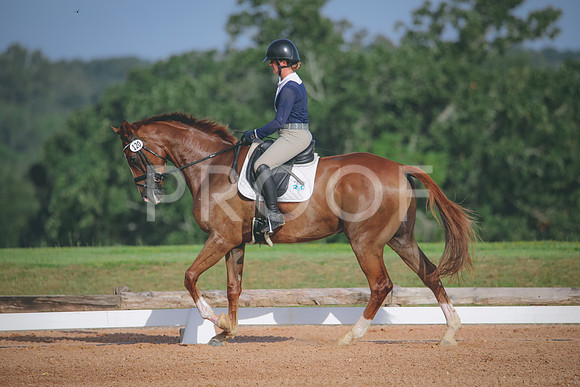 RWP_4423