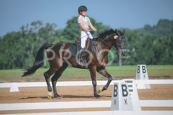 RWP_4648