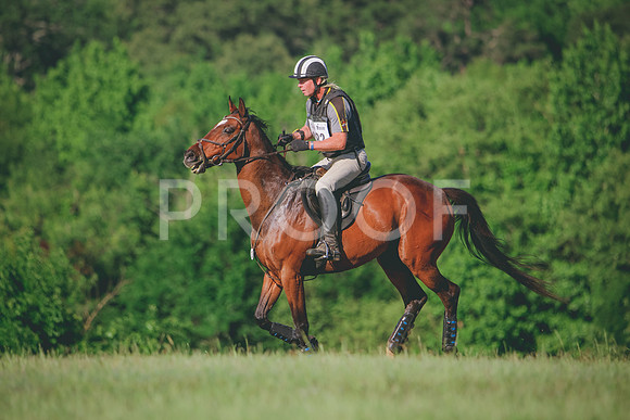 RWP_2088