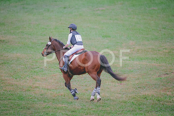 JJS_5452