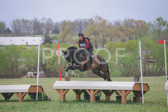 RWP_8584
