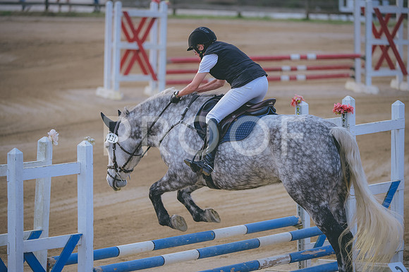 JJS_1528