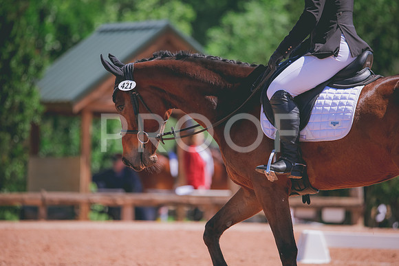 RWP_0096
