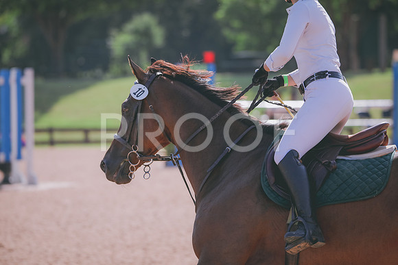RWP_4675