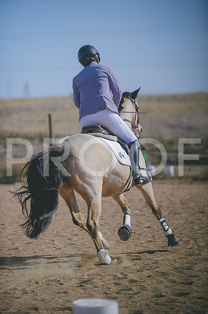 JJS_3542